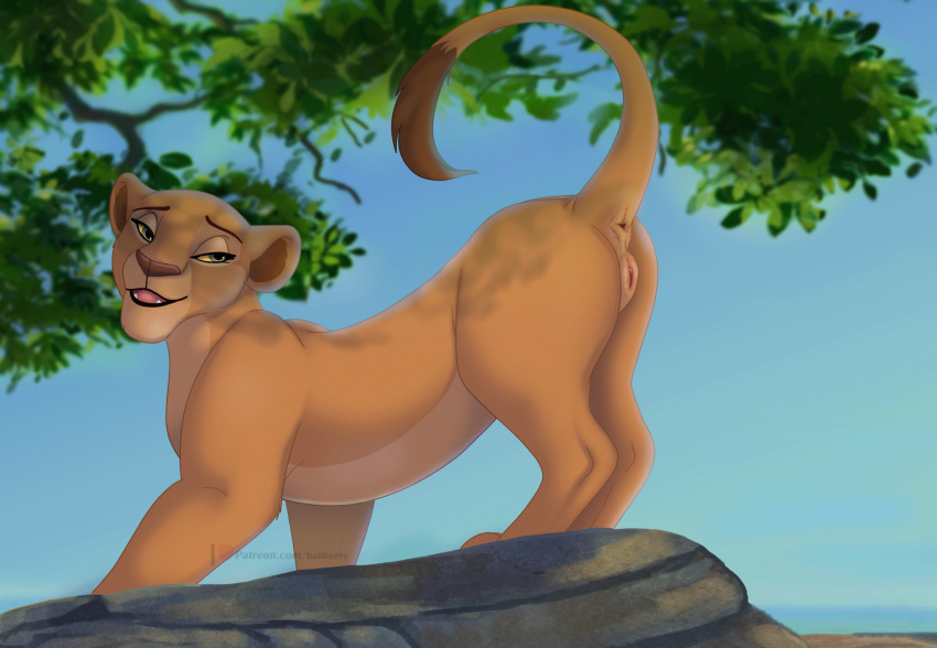 anatomically_correct anatomically_correct_genitalia anatomically_correct_pussy animal_genitalia animal_pussy disney felid feline_genitalia feline_pussy female feral genitals hailberry hi_res lion mammal pantherine presenting presenting_hindquarters pussy raised_tail sarafina solo tail the_lion_king