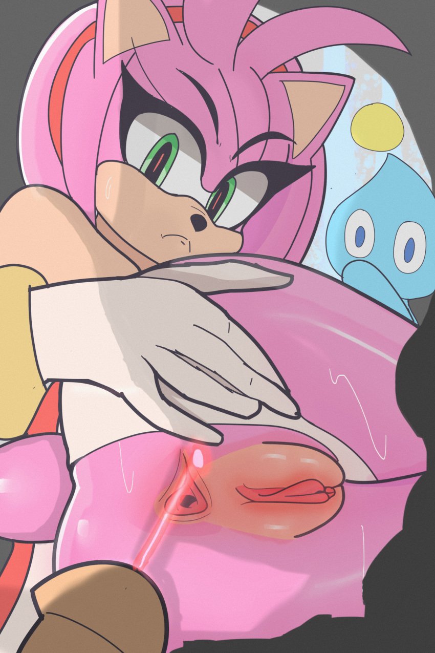 amy_rose anthro anus ass bodily_fluids chao_(sonic) clothed clothing clothing_pull cock dick duo female genitals hi_res laser legs_together panties panty_pull partially_clothed penis pissing pussy sega sh1vss snapcube sonic_(series) sonic_the_hedgehog_(series) spread_anus spreading super_laser_piss sweat underwear underwear_pull upskirt