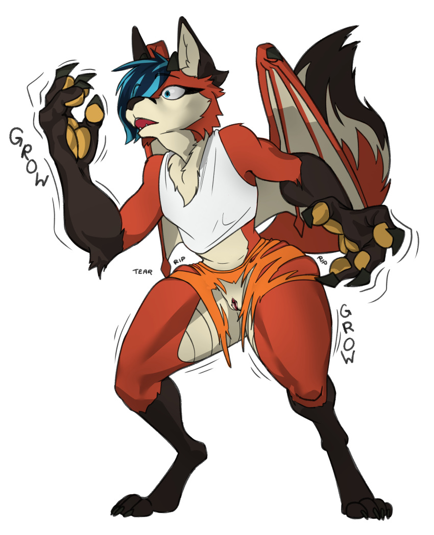 absurd_res anthro_to_feral beefrequency canid canine clothing fox ftm_transformation hi_res mammal raibiash tail torn_clothing transformation white_singlet wings