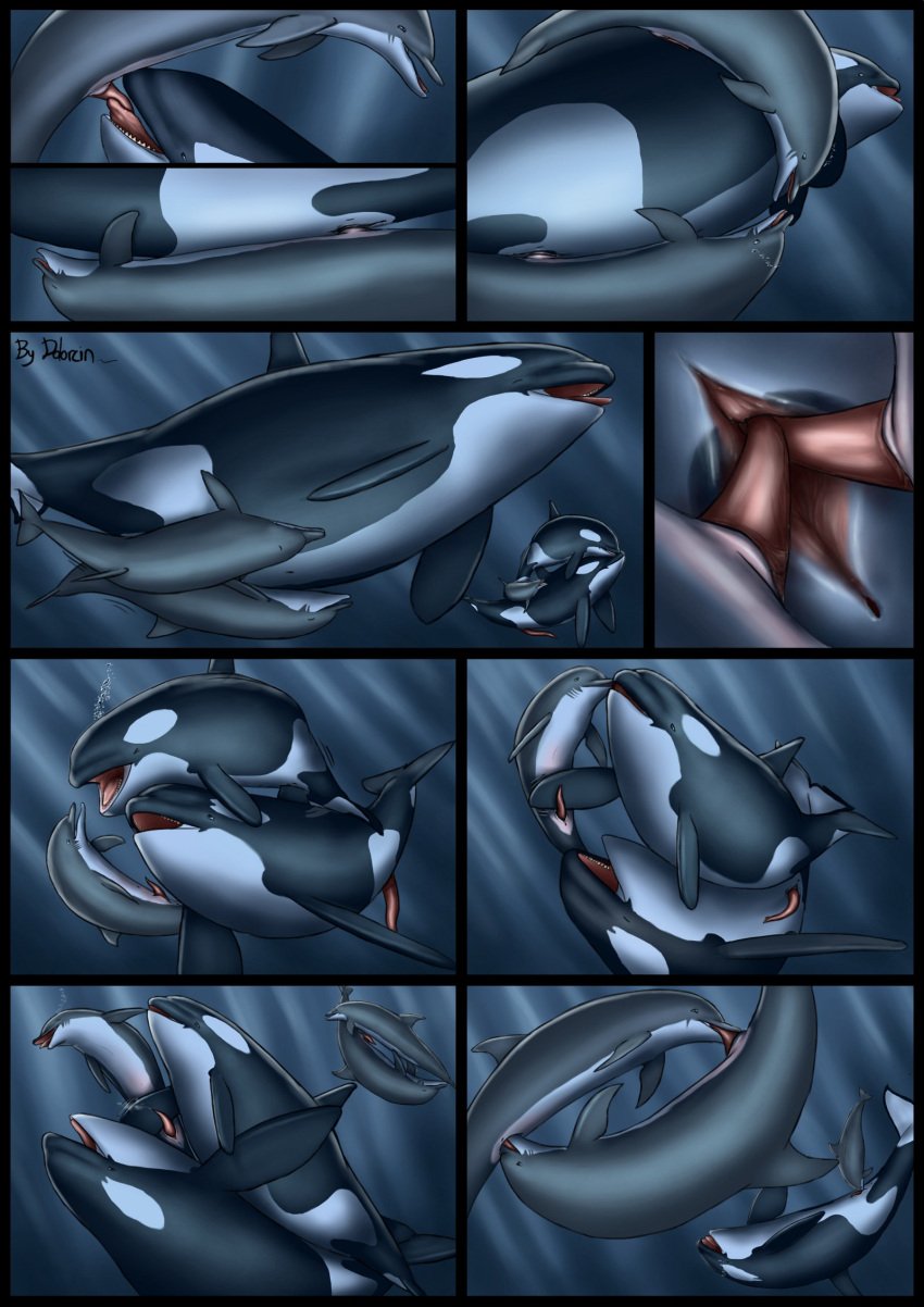 2013 artist_name cetacean comic dolorcin dolphin feral feral_on_feral feral_only hi_res mammal marine oceanic_dolphin orca toothed_whale