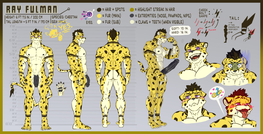 absurd_res anthro cheetah english_text erection felid feline hi_res male mammal model_sheet muscular muscular_male nude ray_(rayject) ray_fulman rayject solo text