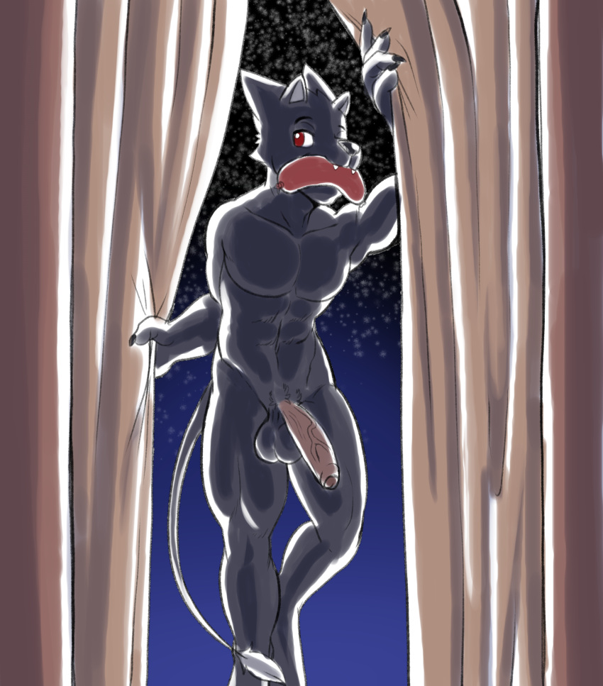 anthro black_body black_fur curtains food fours_(artist) fur genitals hi_res looking_at_viewer male male_only meat night nude penis red_eyes rex_(fours) sausage solo warg_(fours)