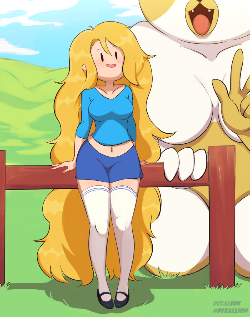 Cake The Cat (Adventure Time) Rule 34 Image