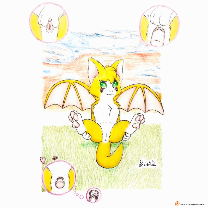Fidget (Dust: An Elysian Tail) Rule 34 Image