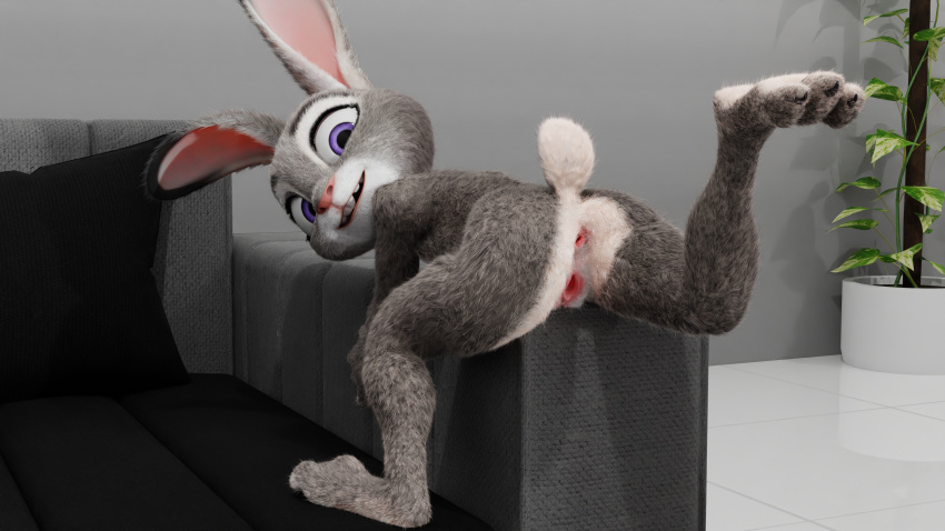 3d 3d_horsey_3d absurd_res anus ass disney feet female fur genitals grey_body grey_fur hi_res judy_hopps lagomorph leporid looking_at_viewer looking_back mammal no_humans plant presenting presenting_anus presenting_hindquarters presenting_pussy purple_eyes pussy rabbit smile solo spread_legs spread_pussy spreading white_body white_fur zootopia