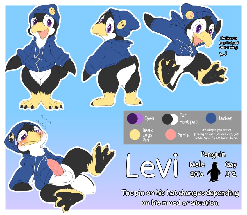 ass avian balls beak beanie bird blush bottomless claws clothed clothing embarrassed emoji feet feral flippers genitals hat headgear headwear hi_res hoodie hopping levi_(miau) looking_back male miau model_sheet penguin penis pin_(disambiguation) presenting presenting_penis semi-anthro simple_background smile soles solo tail text toe_claws topwear