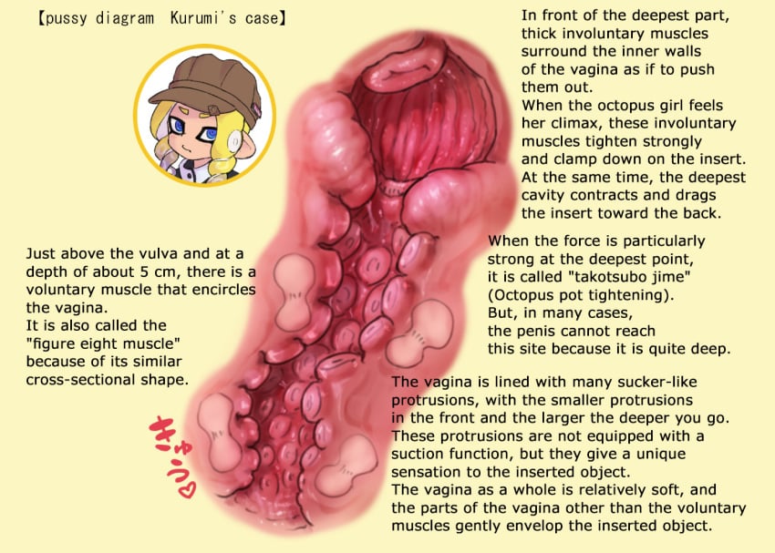 ikachangenema octoling octoling_girl octoling_pussy octoling_pussy_diagram splatoon splatoon_(series) splatoon_3 suction_cup vagina vagina_diagram vaginal_juices