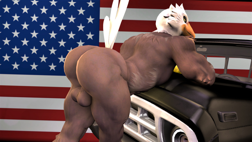 1boy 3d_(artwork) accipitrid accipitriform anthro ass avian bald_eagle balls big_butt bird bird_(petruz) bubble_butt digital_media_(artwork) eagle feathers flag genitals hi_res kyleroo looking_at_viewer male male_only muscular muscular_male nude petruz_(copyright) presenting presenting_hindquarters sea_eagle solo source_filmmaker stars_and_stripes truck_(vehicle) united_states_of_america vehicle