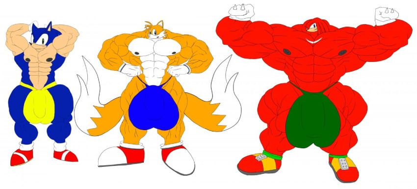 abs balls biceps big_balls big_muscles big_penis bulge echidna fox hedgehog huge_balls huge_muscles huge_penis hyper_muscles knuckles_the_echidna large_balls large_muscles large_penis male male_only muscles muscular muscular_arms muscular_legs muscular_male muscular_thighs needs_more_mass pecs penis sonic_(series) sonic_the_hedgehog sonic_the_hedgehog_(series) speedo tail tails what