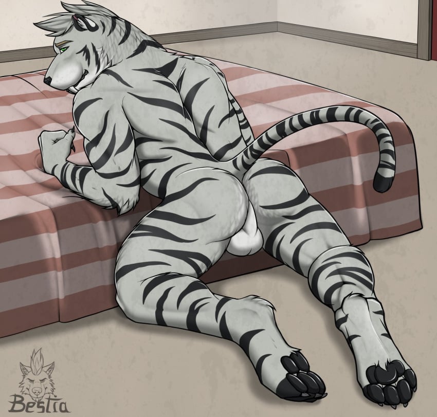 anthro ass balls bed claws elbestia exhibitionism fangs felid furniture genitals herzog_silverfang hi_res looking_at_viewer looking_back looking_back_at_viewer male male_only mammal nude pantherine pawpads paws pose presenting presenting_hindquarters raised_tail seductive slightly_muscular solo stripes tail teasing teeth tiger