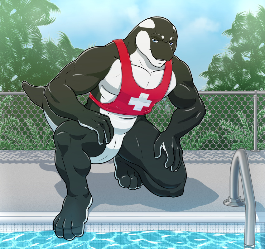 aitch bottomless cetacean clothed clothing dolphin hi_res lifeguard male male_only mammal marine oceanic_dolphin orca pool shirt slit tank_top toothed_whale topwear