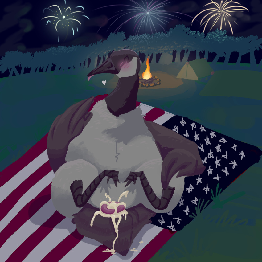 4th_of_july ambiguous_gender anatid animal_genitalia anseriform anserinae asmallotter avian avian_butt avian_feet beak bird blush blush_lines bodily_fluids camp campfire camping canada_goose cloaca cum cum_drip cum_in_cloaca cum_inside dripping feathers feet feral fire fireworks flag_(object) forest genital_fluids genitals goose happy heart hi_res pink_tongue plant presenting presenting_cloaca seductive shadow solo tail_feathers tongue tongue_out towel tree united_states_of_america wings wood