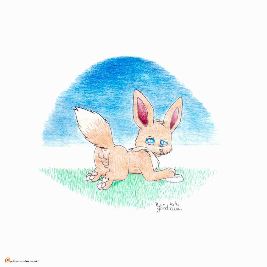 anus ass balls cute_expression cute_eyes eevee feral generation_1_pokemon genitals grass hi_res male nintendo pawpads paws penis plant pokemon pokemon_(species) raised_tail solo tail text yordraw