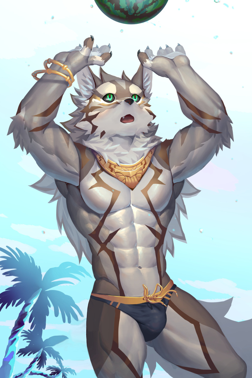 1boy 2:3 5_fingers abs absurd_res anthro beach bracelet briefs bulge canid canine canis claws clothing countershading fingers food fruit green_eyes hair hi_res jackal jewelry lifewonders long_hair male male_only mammal mane mane_hair melon muscular muscular_anthro muscular_male navel open_mouth palm_tree pecs plant seaside seth_(tokyo_afterschool_summoners) solo speedo sport standing swimwear tokyo_afterschool_summoners tree ty_arashi underwear volleyball watermelon