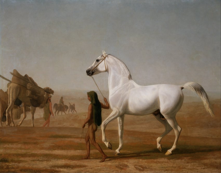 19th_century ambiguous_gender ancient_art animal_genitalia animal_penis arabian arabian_horse ass balls basket black_hair brown_body brown_fur brown_skin camel camelid closed_smile clothed clothing container desert equid equine equine_genitalia equine_penis feet feral fingers flaccid formal_art fur genitals green_clothing group hair halter hi_res holding_leash holding_object hooves horse human jacques-laurent_agasse leash male mammal mouth_closed open_mouth outside painting_(artwork) penis real_world riding shaded shadow side_view smile snout soft_shading tail toes traditional_painting_(artwork) walking wellesley_arabian white_body white_fur
