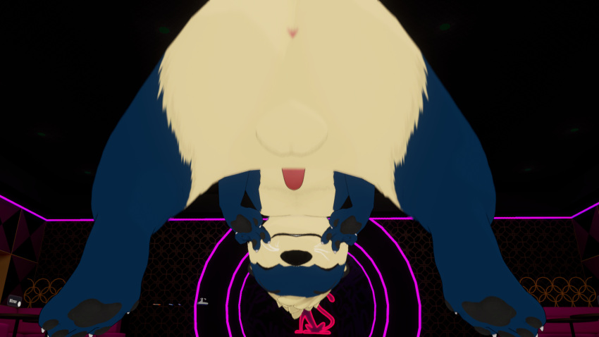 3d absurd_res anthro anthro_focus anus awtter digital_media_(artwork) genitals hi_res male mammal mikumikudance_(artwork) mustelid otter penis solo strip_club theottersamurai vrchat_model