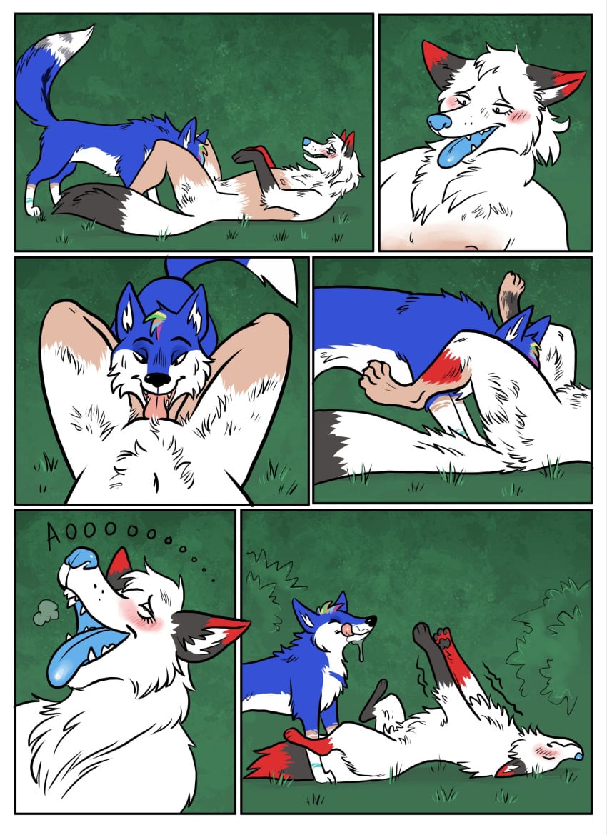 absurd_res anthro_focus blue_tongue bodily_fluids bubbeh canid canine comic comictf feral hi_res mammal mtf_transformation saliva tongue transformation wuffkitty_(character)