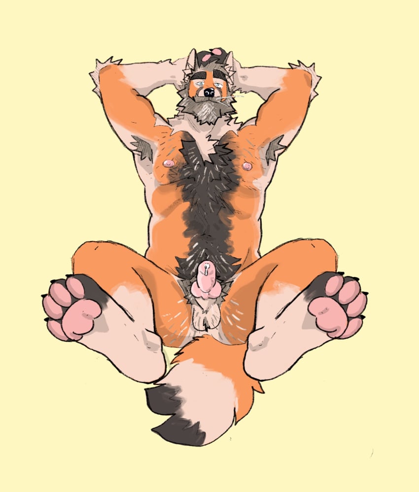 2024 animal_genitalia animal_penis anthro arm_tuft armpit_hair ass ball_tuft balls beard belly_hair black_hair blue_eyes bodily_fluids body_hair butt_hair canid canine canine_genitalia canine_penis chest_hair corruptedsnout dripping elbow_tuft erection facial_hair feet fox genital_fluids genitals greying_hair hair hairy hairy_balls hands_behind_head hi_res high-angle_view legs_up looking_at_viewer lying male mammal manly mature_male moustache navel nipples on_back penis perineum precum precum_drip pubes reclining simple_background slightly_chubby solo tuft