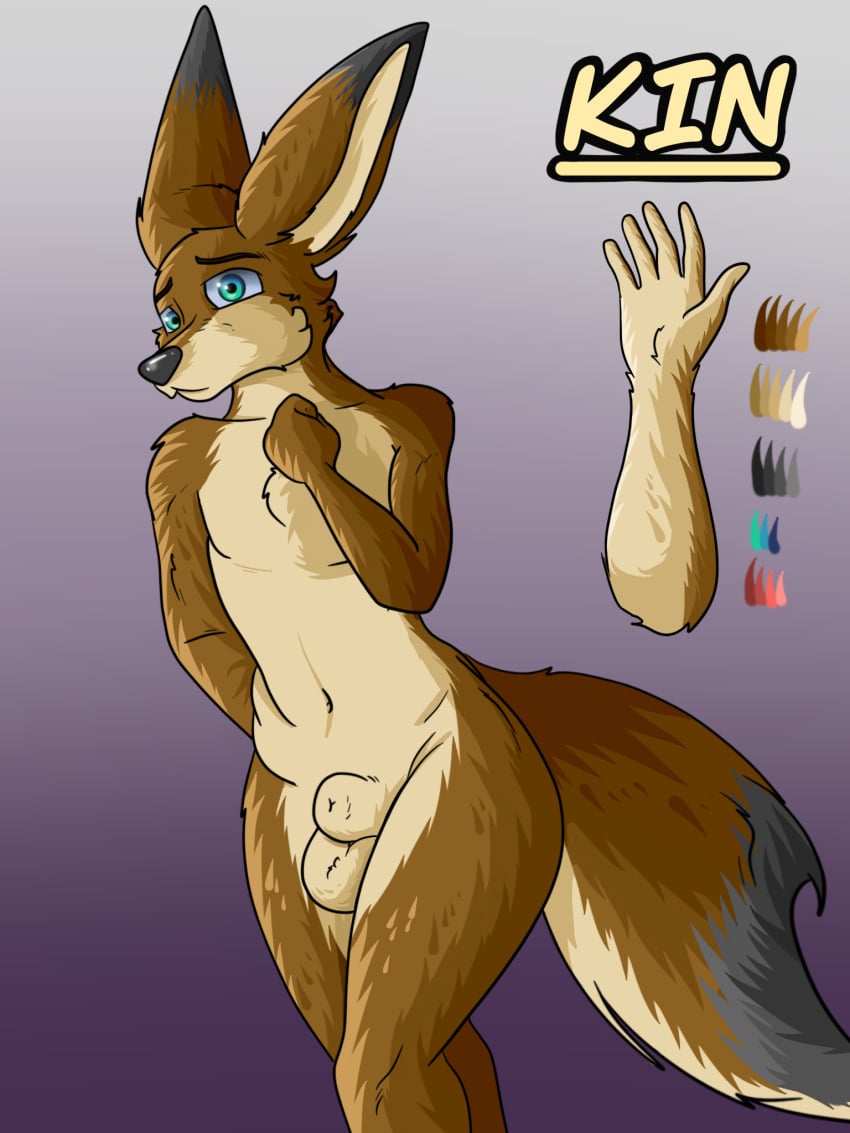 2023 4:3 aafox196 anthro balls biped canid canine digital_media_(artwork) fennec fox front_view fur genitals girly hi_res kin_(dat_one_doge) looking_at_viewer male male_focus male_only mammal model_sheet nude original original_character penis portrait purple_background shy simple_background solo solo_male standing tail