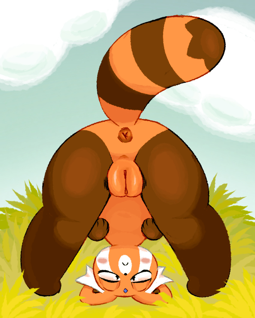 ailurid anus brown_body brown_fur detailed_background female fur genitals grass hi_res labbit1337 magical_girl_friendship_squad mammal nut_(magical_girl_friendship_squad) orange_body orange_fur plant pussy red_panda semi-anthro sky solo white_body white_fur