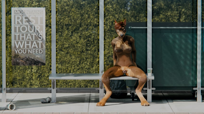 3d_(artwork) animal_genitalia animal_pussy anthro blender_(software) breasts brown_body brown_fur bus_stop canid canine canine_genitalia canine_pussy canis digital_media_(artwork) digitigrade dobermann dobermann_(untied_verbeger) domestic_dog female fur genitals haferkraft hair hands_behind_back hi_res looking_at_viewer mammal nude pinscher public public_nudity pussy red_hair sidewalk solo spread_legs spreading