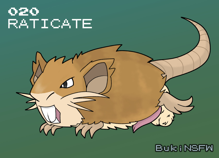 absurd_res bukinsfw feral fluffy generation_1_pokemon genitals hi_res male mammal murid murine nintendo penis pokemon pokemon_(species) rat raticate rodent solo