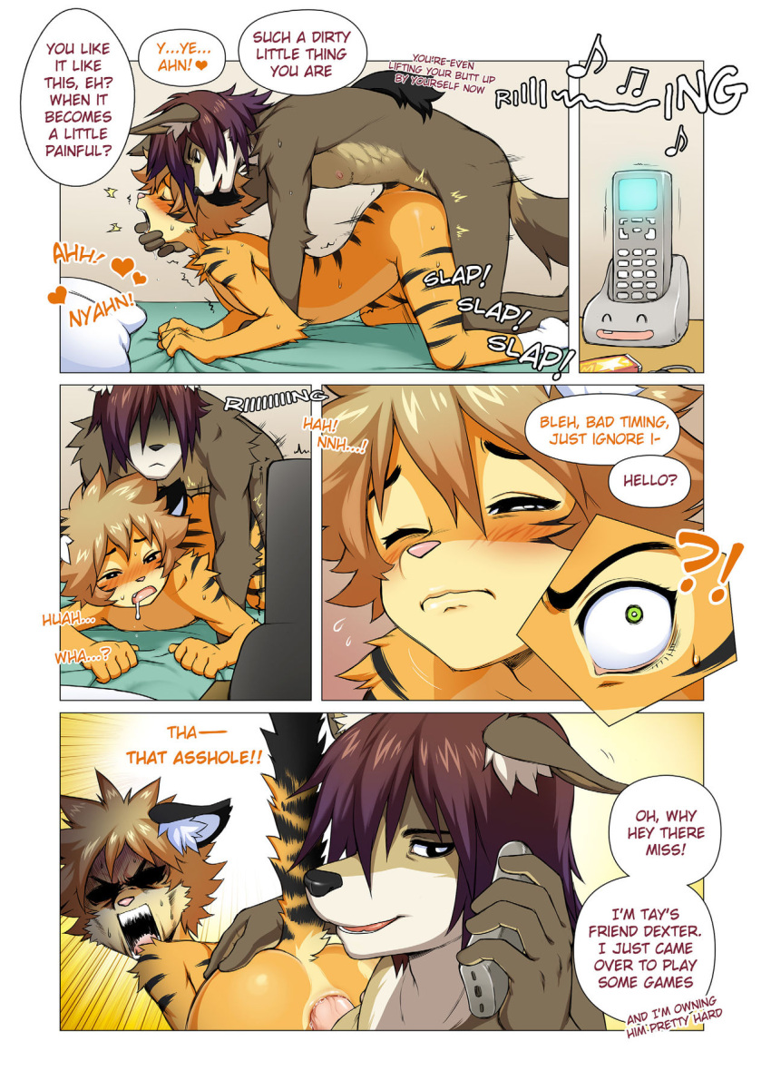 anal anthro bed blush canid canine canis comic domestic_dog duo felid furniture hi_res male male/male mammal pantherine phone powfooo ringing_phone text tiger