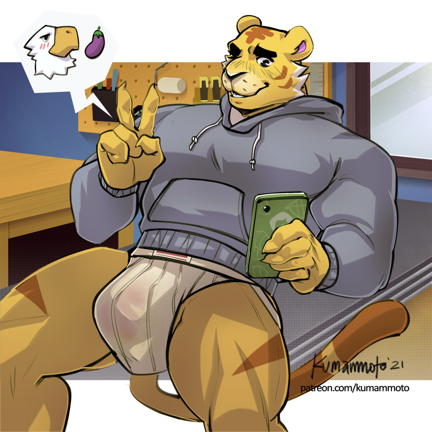 animal_crossing anthro apollo_(animal_crossing) bald_eagle beak big_bulge big_muscles bird blush bulge cellphone claws clothing dialogue_box duo eagle eggplant eyebrows feathers felid food fruit fur gesture hi_res highres holding_object holding_phone hoodie huge_bulge inside jockstrap kumammoto_(artist) male male/male male_only mammal muscular muscular_anthro muscular_male nintendo one_eye_closed pantherine phone pictographics plant sea_eagle sexting sitting smartphone smile solo_focus texting tiger topwear tuft tybalt_(animal_crossing) underwear v_sign video_games wink