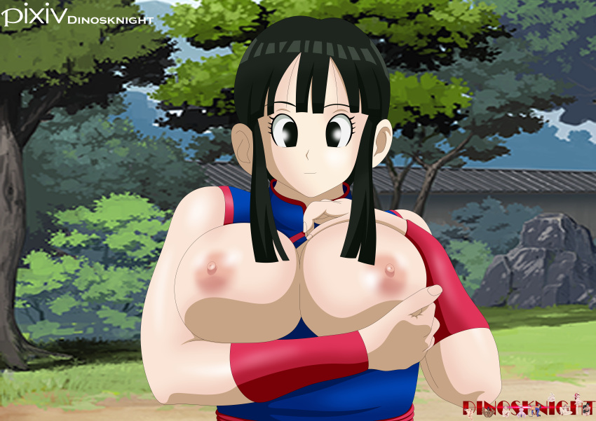 big_breasts breasts chichi commission dinosknight dragon_ball huge_breasts nipples solo solo_female