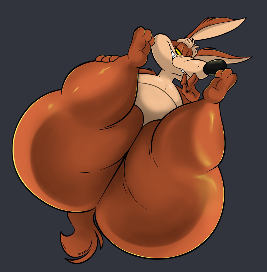 ass big_ass coyote looney_tunes remmyfox skunkscribble tagme thick_thighs wile_e._coyote