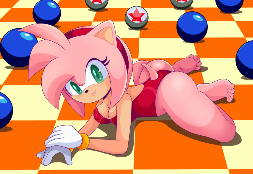 Amy Rose (Sonic (Series)) Rule 34 Image