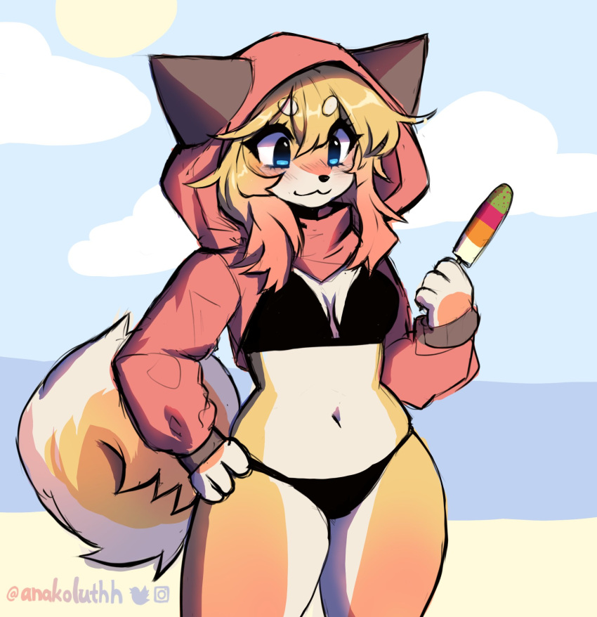 anakoluth anthro beach belly belly_button bikini bikini_bottom bikini_top blonde_female blonde_hair blue_eyes curly_tail dog_girl furry hips hoodie medium_breasts