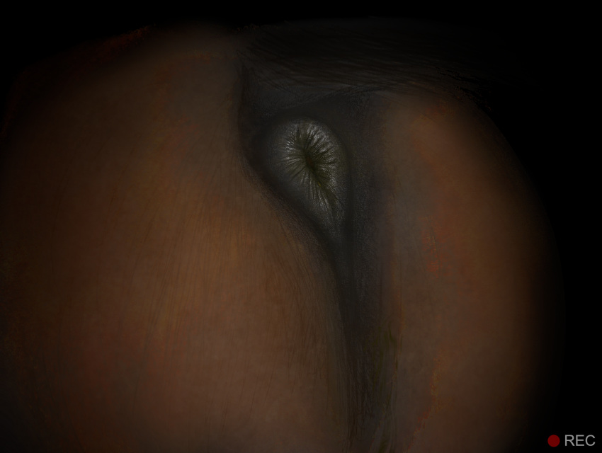 anatomically_correct anatomically_correct_anus anus ass black_anus brown_body brown_fur butt_shot darkmare dirty_anus equid equine equine_anus feces feral fur hi_res horse male mammal night puffy_anus recording solo