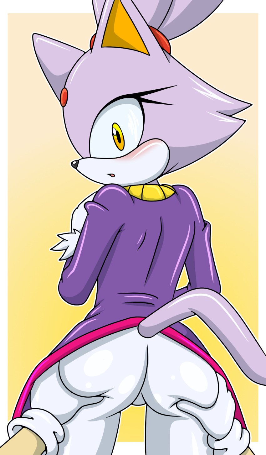 anthro ass blaze_the_cat blush clothed clothing coat felid feline felis female looking_back pants ponytail princess purple_body purple_fur rear_view royalty sega sonic_(series) sonic_the_hedgehog sonicguru yellow_eyes