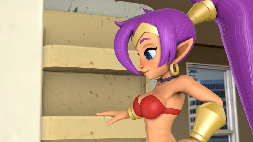 1girls female female_only legoguy9875 shantae shantae_(character) solo