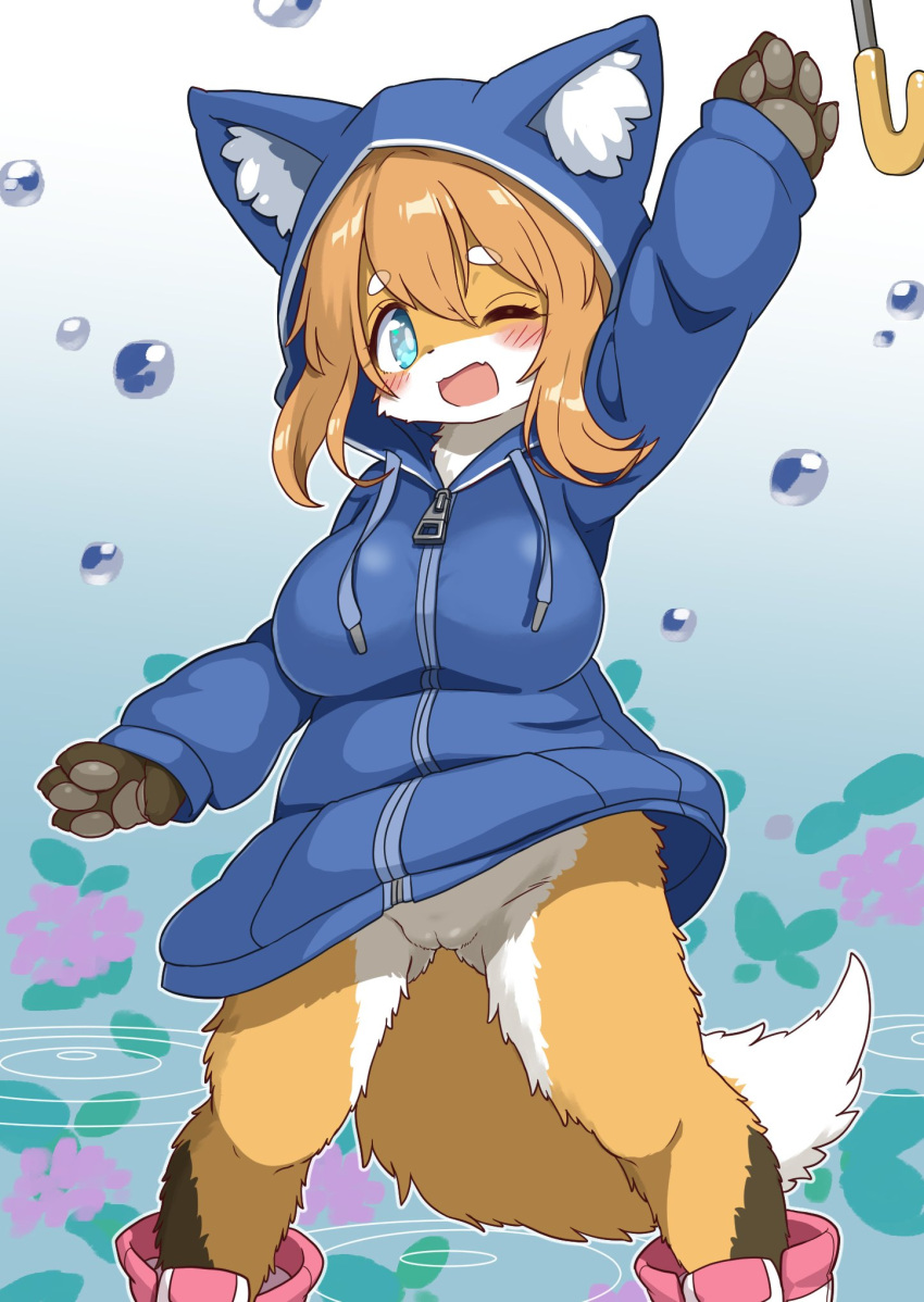 anthro blue_eyes blush boots bottomless brown_hair canid canine clothed clothing cute exposed_pussy female footwear fox furry hi_res jacket koorinezumi mammal pussy raining solo topwear