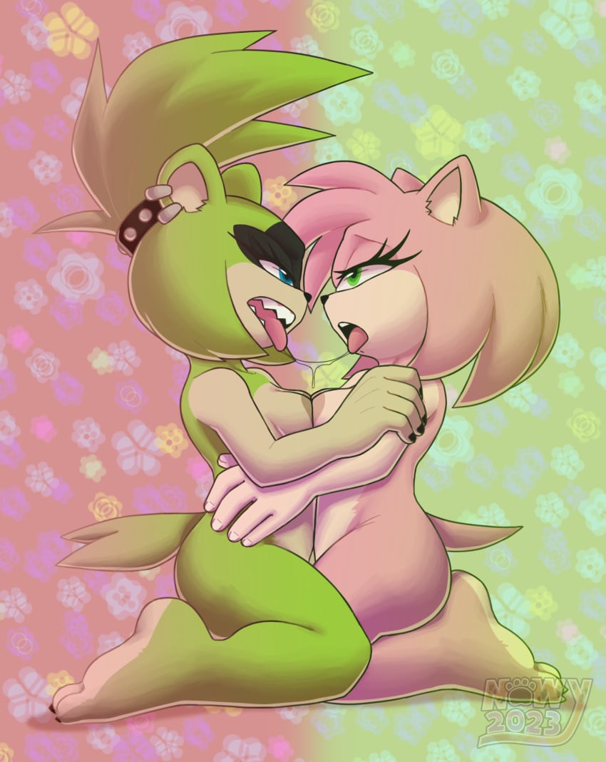 Sonic (Series) Rule 34 Image