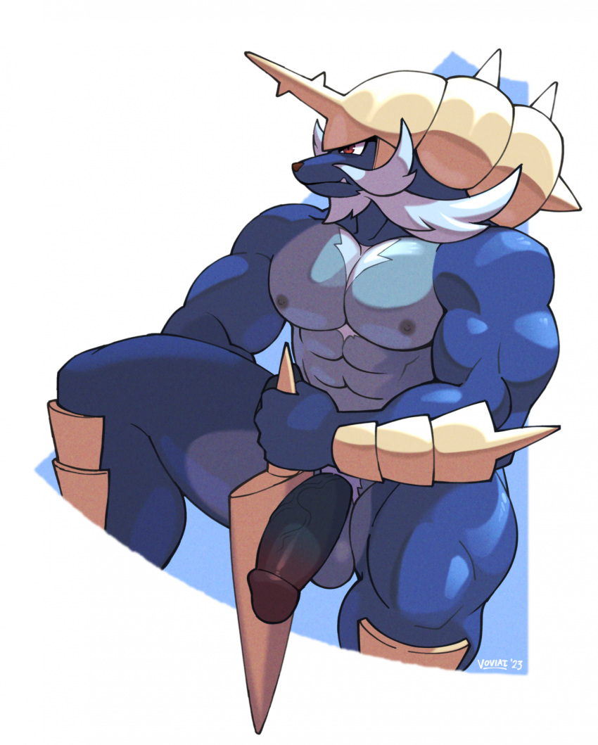 abs anthro anthrofied balls blue_body erection generation_5_pokemon genitals hi_res male mammal muscular muscular_male nintendo nipples pecs penis pokemon pokemon_(species) red_eyes samurott simple_background voviat white_background