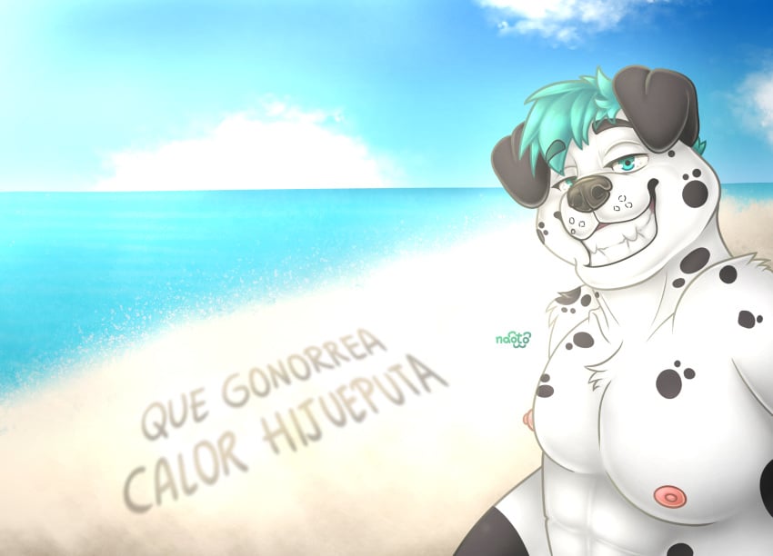 animal_humanoid anthro beach canid canid_humanoid canine canine_humanoid canis dalmatian dalmatian_humanoid dog_humanoid domestic_dog hi_res humanoid male male/male mammal mammal_humanoid naoto rude rudeness sea seaside smile solo summer sun sunny water