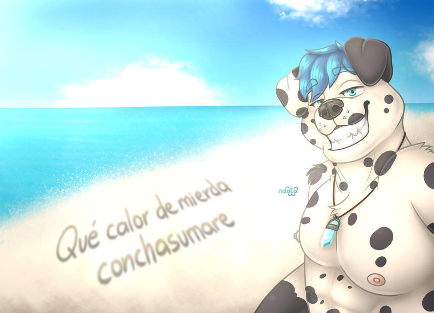 animal_humanoid anthro beach canid canid_humanoid canine canine_humanoid canis dalmatian dalmatian_humanoid dog_humanoid domestic_dog hi_res humanoid male male/male mammal mammal_humanoid naoto rudeness sea seaside smile solo summer sun sunny water