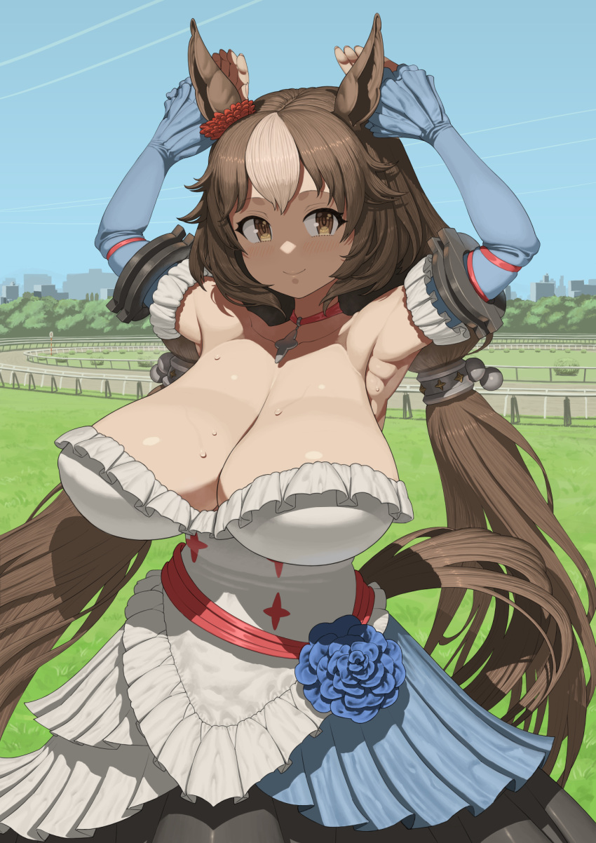 animal_ears armpits arms_up breasts brown_eyes brown_hair choker cleavage corsage day detached_sleeves dress female frills gigantic_breasts highres horse_ears horse_girl horse_tail long_hair low_twintails maruko_tooto multicolored_hair outdoors pendant_choker racetrack sky smile solo strapless strapless_dress streaked_hair sweat tail twintails umamusume very_long_hair yamanin_zephyr_(umamusume)