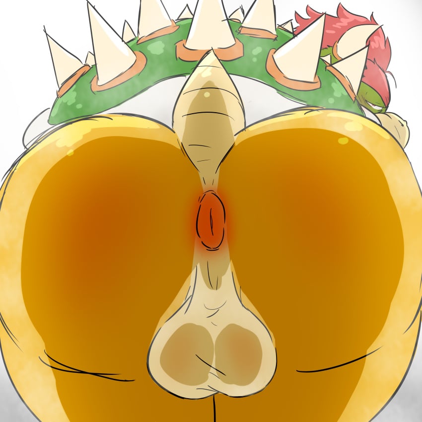 1:1 2023 absurd_res against_surface anus ass balls bowser digital_media_(artwork) genitals hi_res koopa looking_at_viewer male male_only mario_(series) nintendo on_glass presenting presenting_hindquarters puffy_anus samonaa2 scalie solo solo_focus spikes