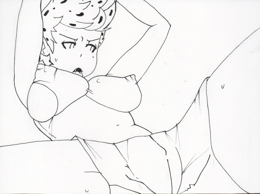 cheetara persian_female peruda short_hair shorts simple_background simple_eyes thundercats_roar white_background