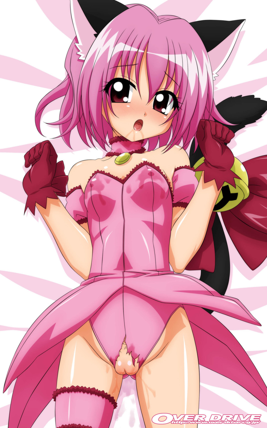 animal_ears animal_humanoid asking_for_it bed blush cat_ears cat_tail choker erect_nipples female garter ichigo_momomiya leotard looking_at_viewer magical_girl nekomimi nipples_visible_through_clothing open_mouth pussy pussy_juice saliva short_hair solo tail teenager tokyo_mew_mew torn_clothes uncensored wave_ride wet wet_pussy young