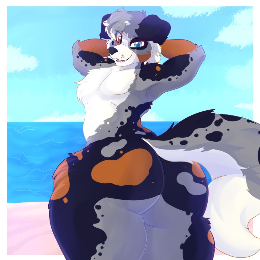 absurd_res anthro ass australian_shepherd beach big_butt canid canine canis curvy_figure domestic_dog fur herding_dog hi_res kiba_aussie korick17 looking_at_viewer male mammal nude pastoral_dog pose presenting seaside sheepdog solo spots spotted_body spotted_fur thick_thighs