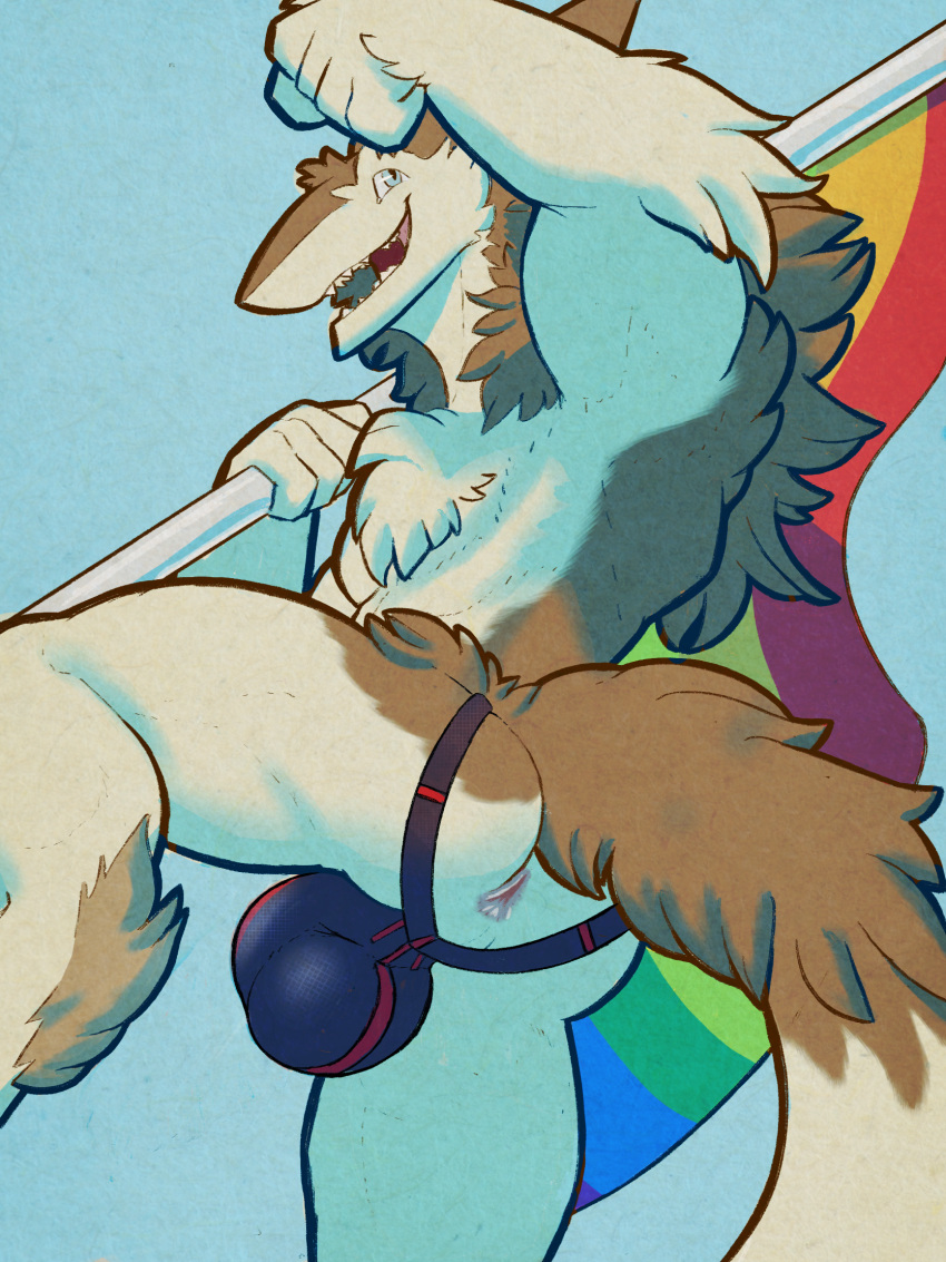 anthro anus ass balls blue_eyes clothed clothing eyeball6300_(chiv) genitals hi_res jockstrap jockstrap_only lgbt_pride looking_at_viewer male male_only one_leg_up penis pride_color_flag pride_colors raised_leg sergal smile solo topless underwear underwear_only