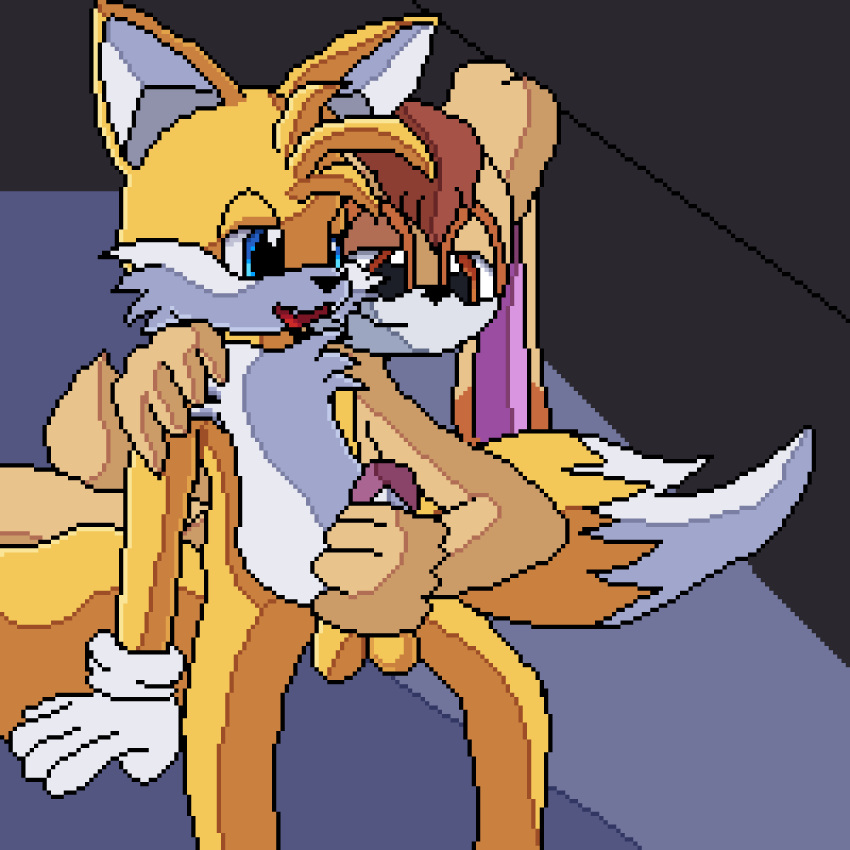 1:1 animated anthro balls blue_eyes brown_eyes canid canine clothing digital_media_(artwork) duo erection female fox fur genitals gloves handjob handwear hi_res humanoid_genitalia lawealewd looking_pleasured male male/female mammal penile penis pixel_(artwork) sega sex short_playtime smile sonic_(series) sonic_the_hedgehog_(series) tails vanilla_the_rabbit