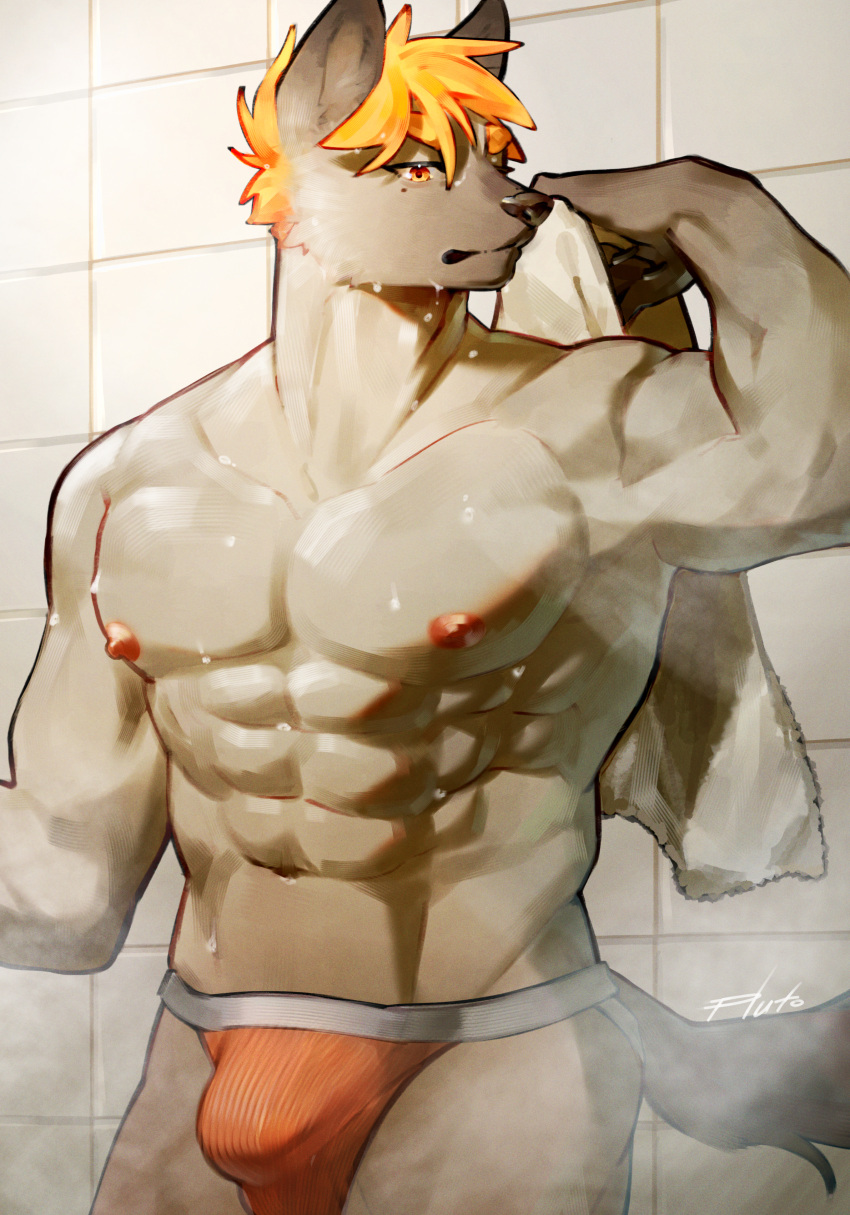 2023 abs absurd_res anthro areola brown_body brown_fur bulge clothing detailed_bulge fur hair hi_res hyena jockstrap looking_at_viewer male male_only mammal muscular muscular_anthro muscular_male pluto08010511 pu94_d1de4c solo tail towel underwear wet wet_body wet_fur