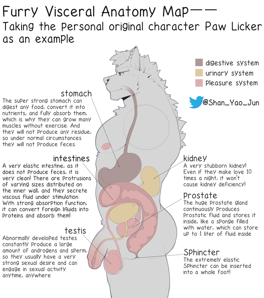 2023 absurd_res anatomy anatomy_chart anthro anus anus balls canid canine chart diagram ear_piercing english_text esophagus genitals guts hi_res intestines kidney large_intestines male mammal nipples organs penis piercing prostate shan_yao_jun side_profile solo stomach text twitter twitter_logo