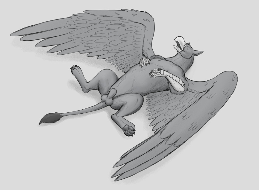 animal_genitalia avian balls beak closed_eyes feral genitals greyscale gryphon hi_res lying male monochrome mythological_avian mythology on_back sheath sleeping solo spread_legs spreading thatgryphonguy wings